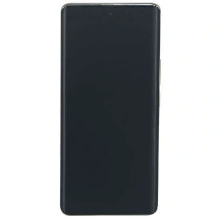 Смартфон Infinix Zero 30 4G X6731B 8GB/256GB (закатное золото)